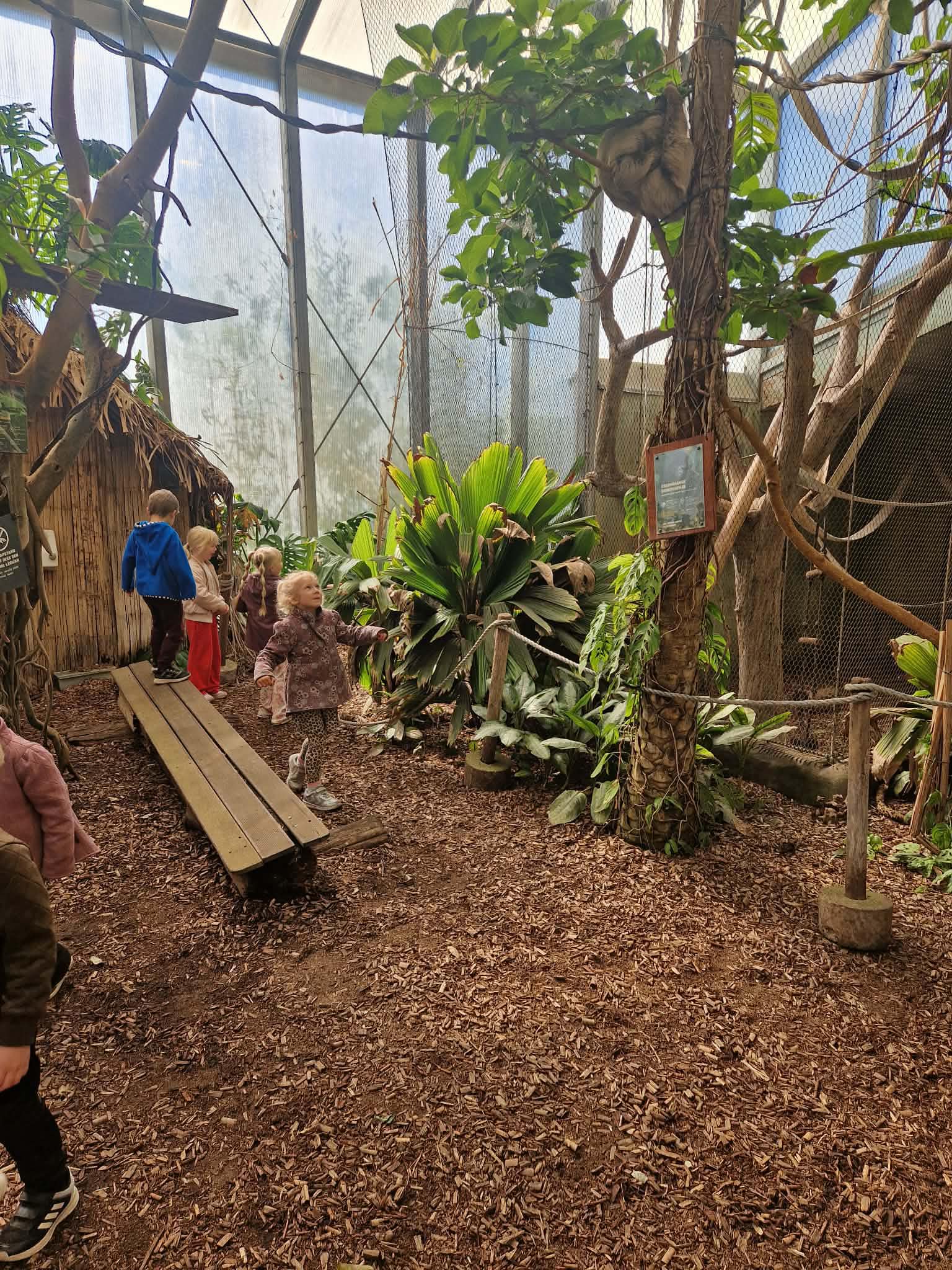 Børn på tur i zoo